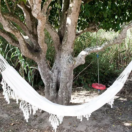 Ruralcamomo Holiday home Cadiz