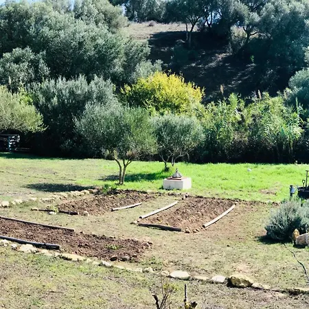 Holiday home Ruralcamomo