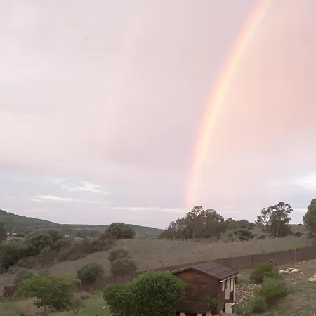 Ruralcamomo