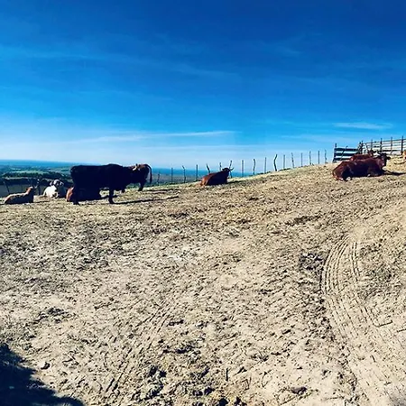 Сasa de vacaciones Ruralcamomo