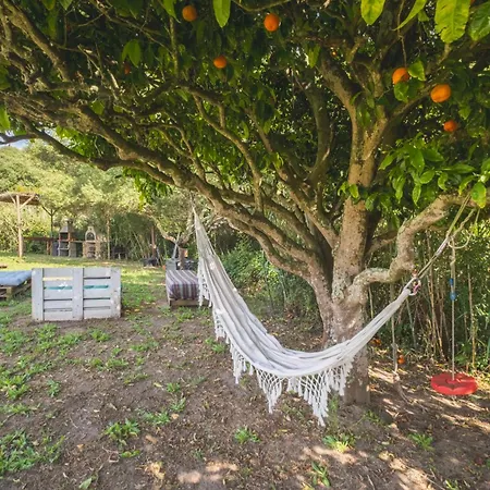 Ruralcamomo Сasa de vacaciones Cádiz